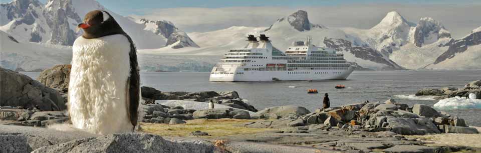 Pat and Rosemarie Keough photo of Gentoo penguin moulting, Petermann Island, Antarctica. Seabourn Quest ship in distance.