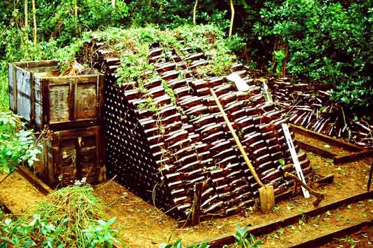 Huge pile of beer bottles in jungle 