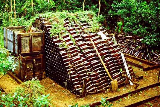 Beer Bottle House built by Pat Keough